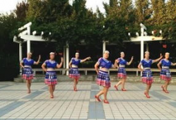 广场舞视频大全,视频大全精彩回顾